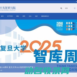 复旦发展研究院